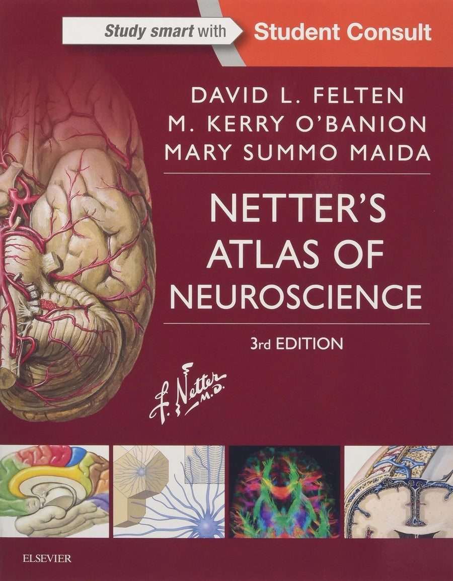 Netter's Atlas of Neuroscience, 3e Netter Basic Science — Paperback (Brand New)