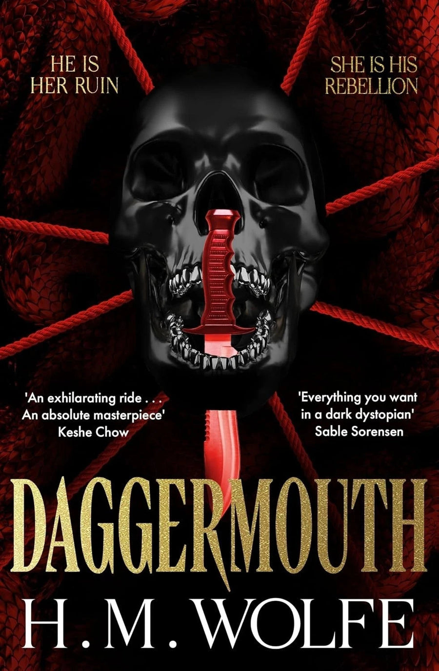 Daggermouth by H. M. Wolfe — Paperback (Brand New)